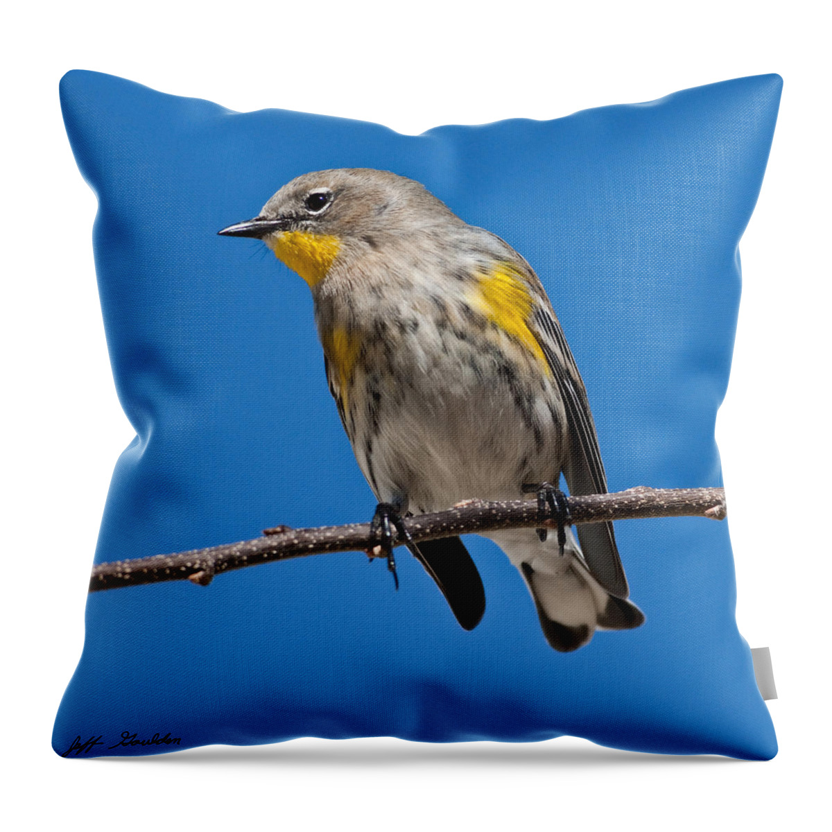 Adult Throw Pillow featuring the photograph Yellow-Rumped Warbler by Jeff Goulden