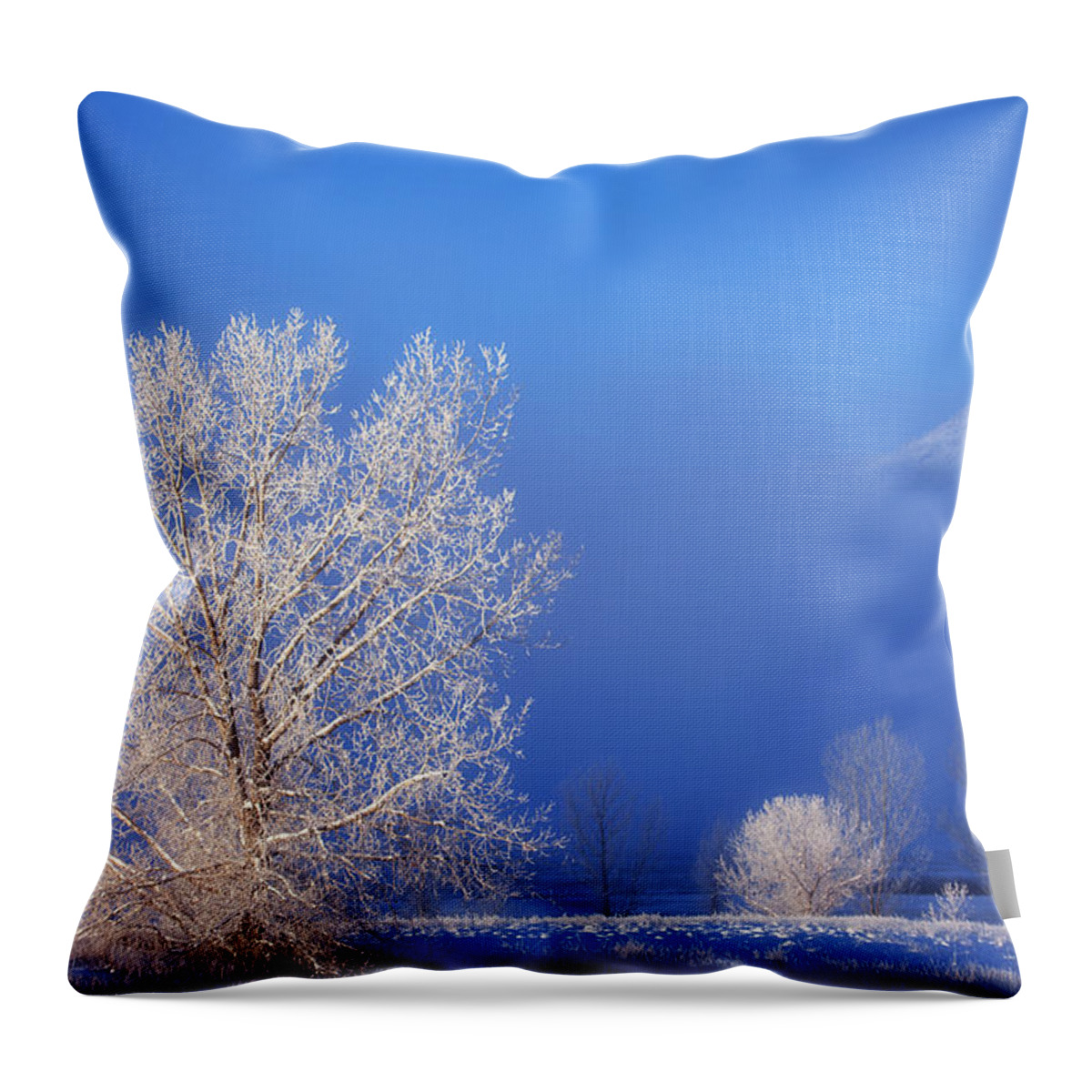 Ice Throw Pillow featuring the photograph Yesterday's Blues by Darren White