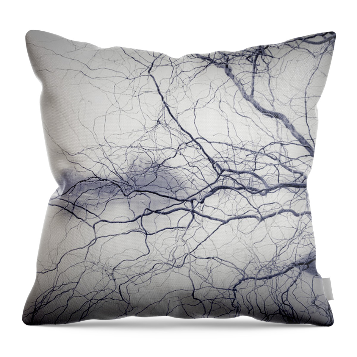 Tree Throw Pillow featuring the photograph You're A Treemer by Dorit Fuhg