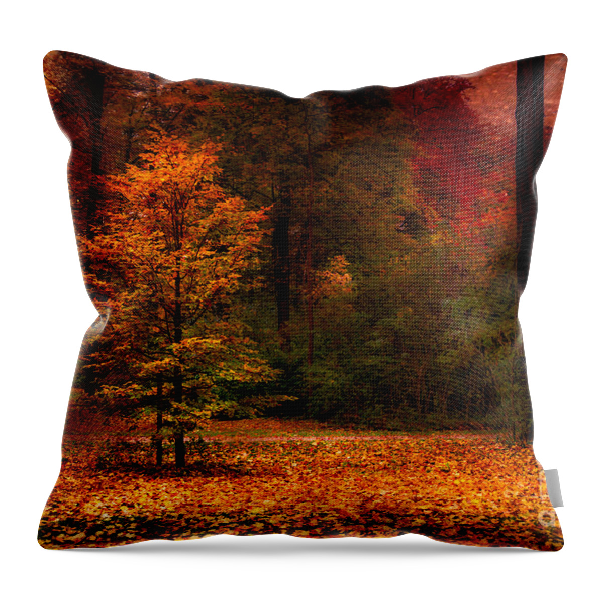 Autumn Throw Pillow featuring the photograph Youth by Hannes Cmarits