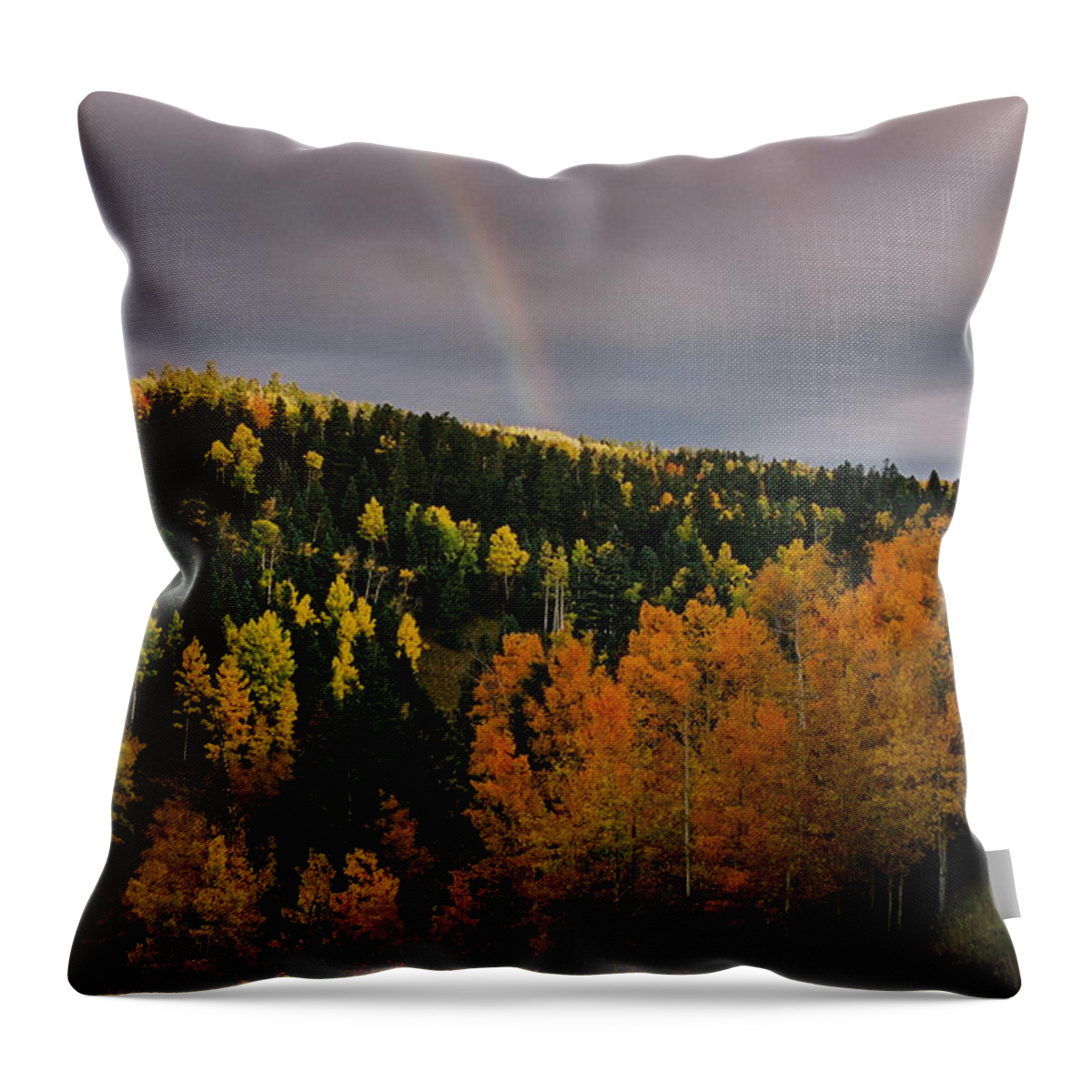 Red River Throw Pillow featuring the photograph Autumn Rainbow by Ron Weathers