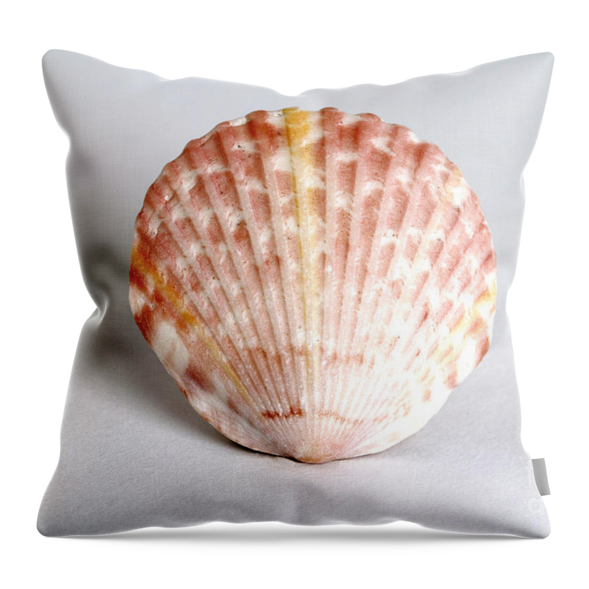 Nature Throw Pillow featuring the photograph Cockle Shell by Photo Researchers