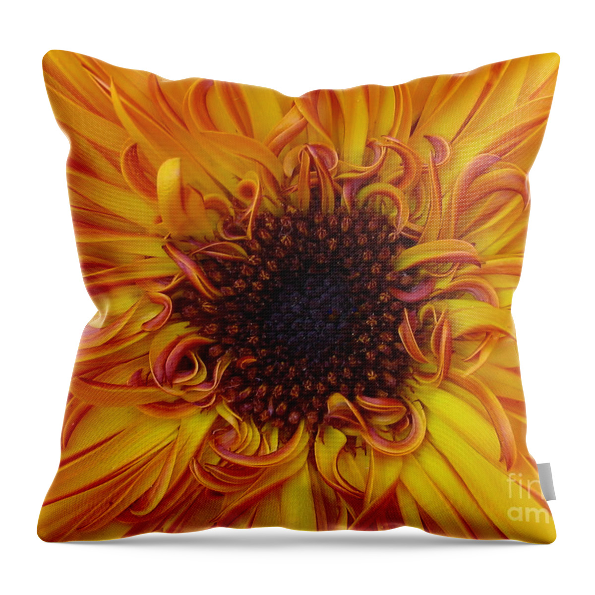 Flower Throw Pillow featuring the photograph Frazzled by Tina Marie