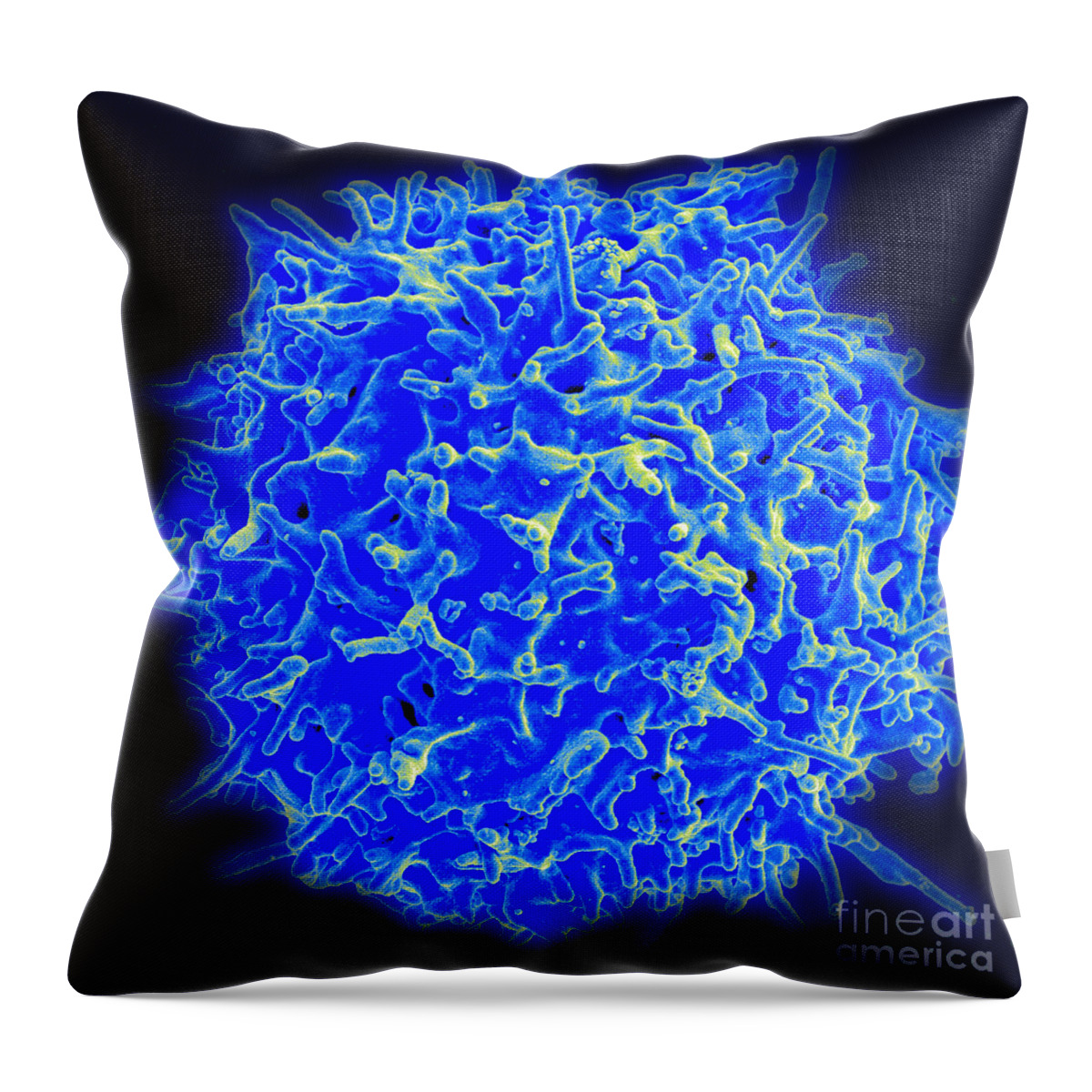 Biology Throw Pillow featuring the photograph Healthy Human T Cell, Sem #1 by Science Source