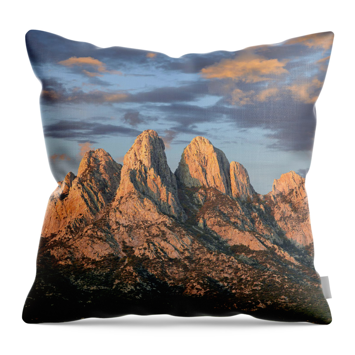 00438928 Throw Pillow featuring the photograph Organ Mountains Near Las Cruces New by Tim Fitzharris