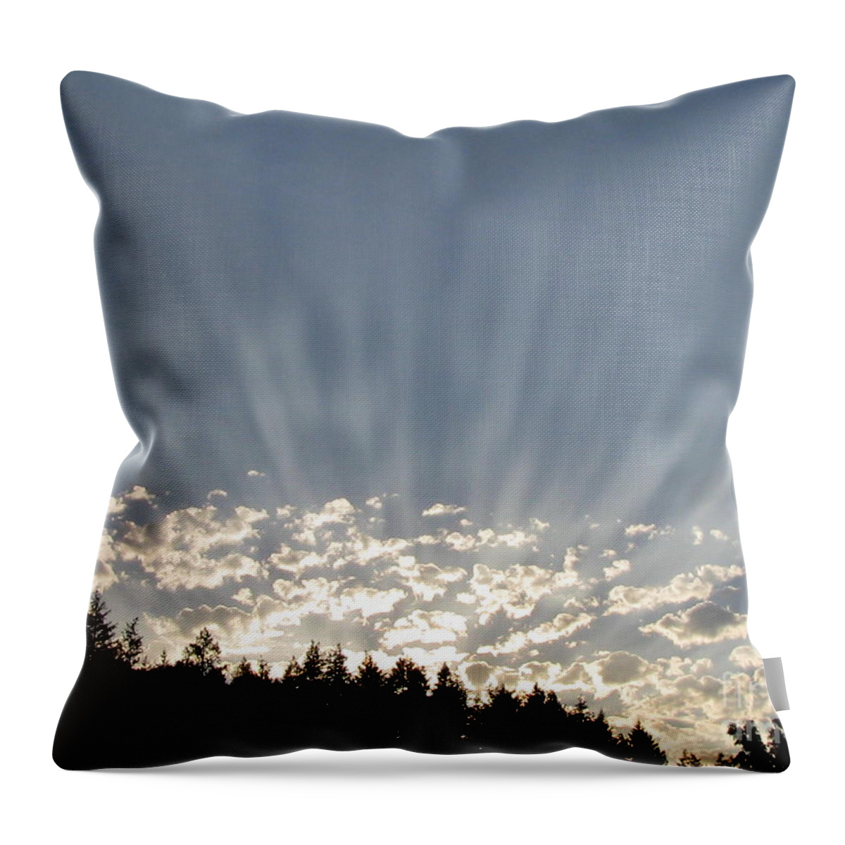 Landscape Throw Pillow featuring the photograph Persistence by Tina Marie