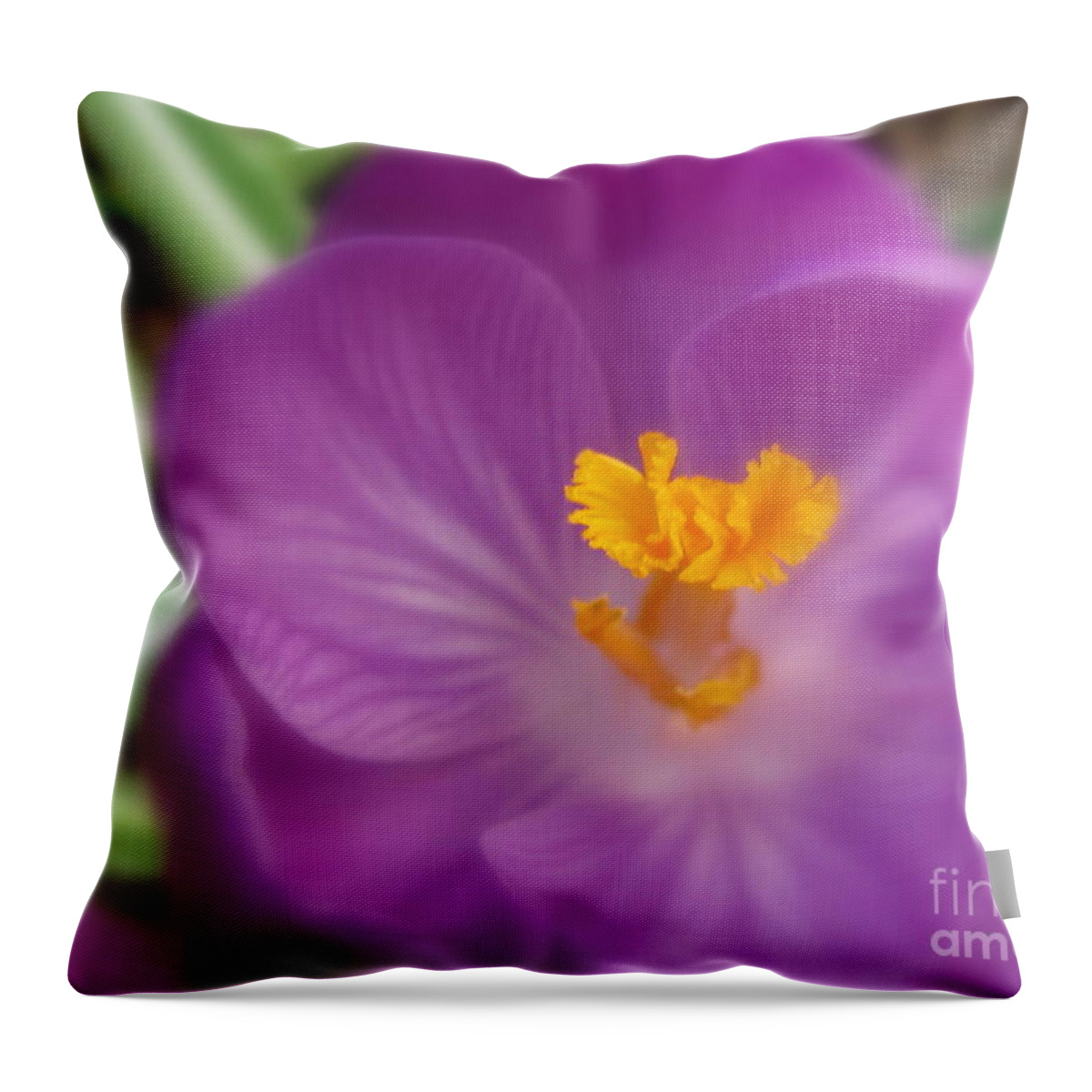 Flower Throw Pillow featuring the photograph Surprise by Tina Marie