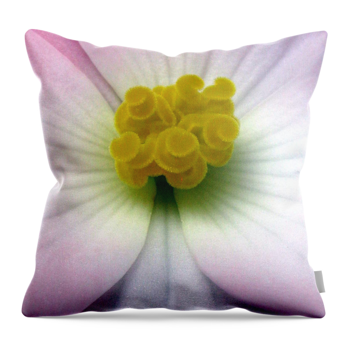 Flower Throw Pillow featuring the photograph Unguarded by Tina Marie