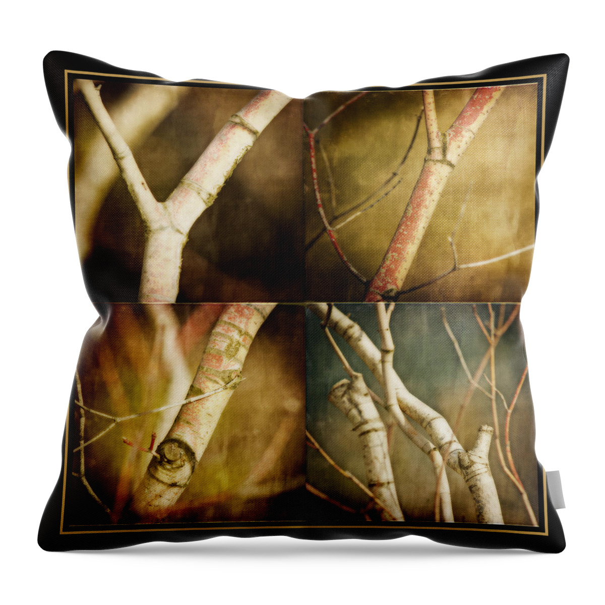 Branches Throw Pillow featuring the photograph Branching Out by Bonnie Bruno