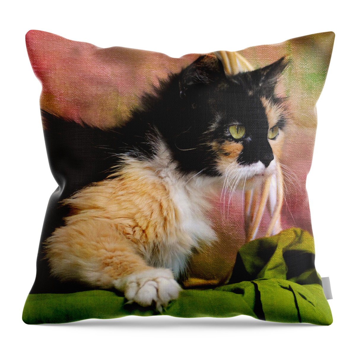 Calico Throw Pillow featuring the photograph Calico Cat in Basket by Jai Johnson