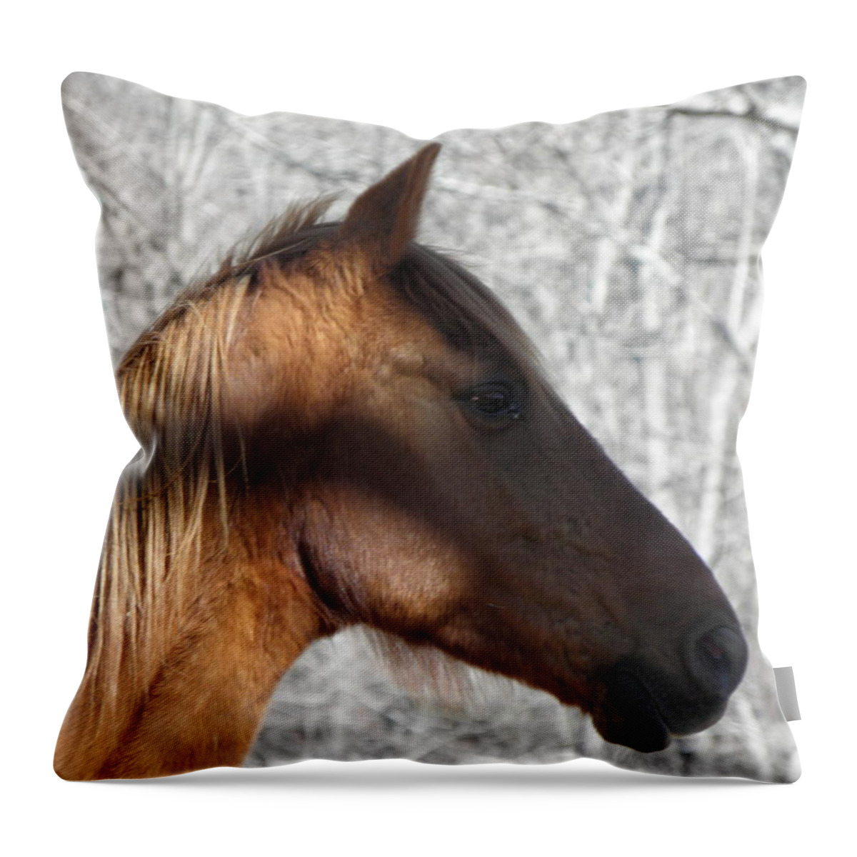 Horse Throw Pillow featuring the photograph Like My Profile by Kim Galluzzo Wozniak