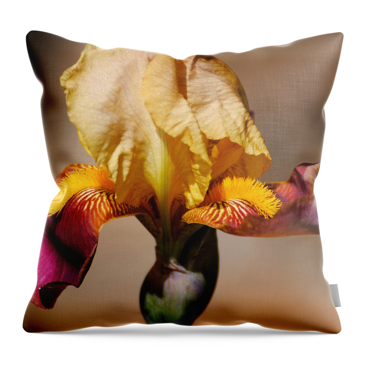Beautiful Iris Throw Pillow featuring the photograph Purple and Yellow Iris by Jai Johnson