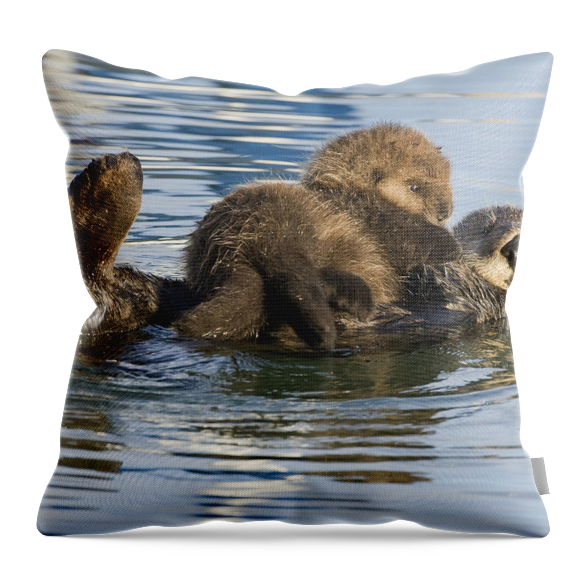 00429659 Throw Pillow featuring the photograph Sea Otter Mother And Pup Elkhorn Slough by Sebastian Kennerknecht