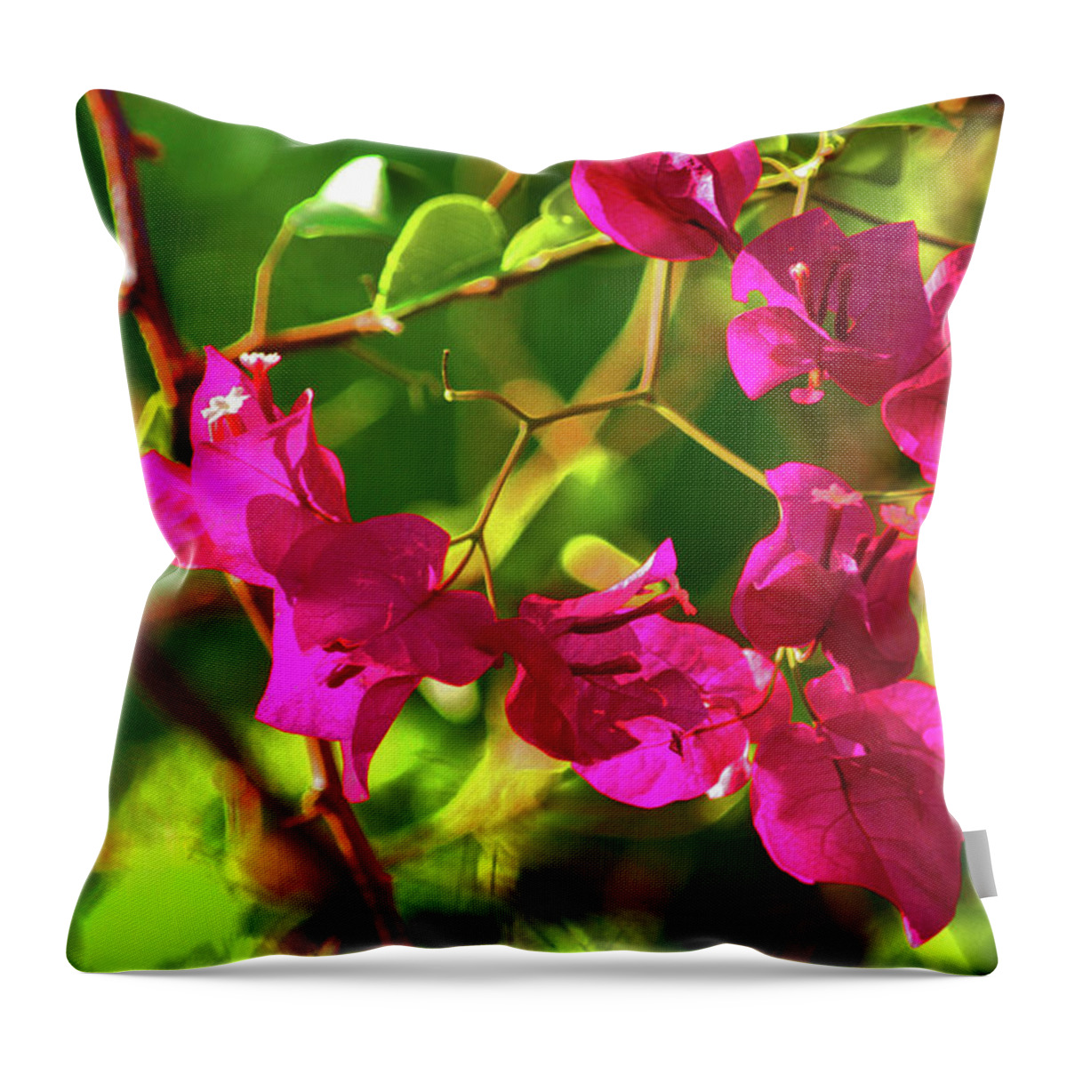 Bougainvillea Throw Pillow featuring the photograph 3- Bougainvillea by Joseph Keane