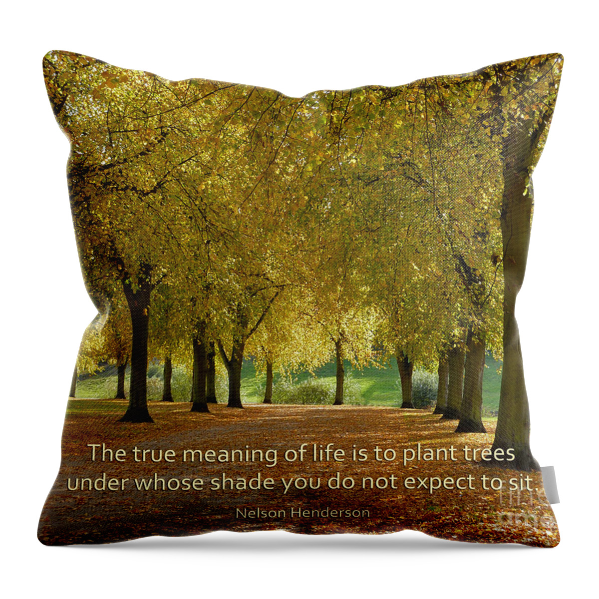  Throw Pillow featuring the photograph 38- Plant Trees by Joseph Keane