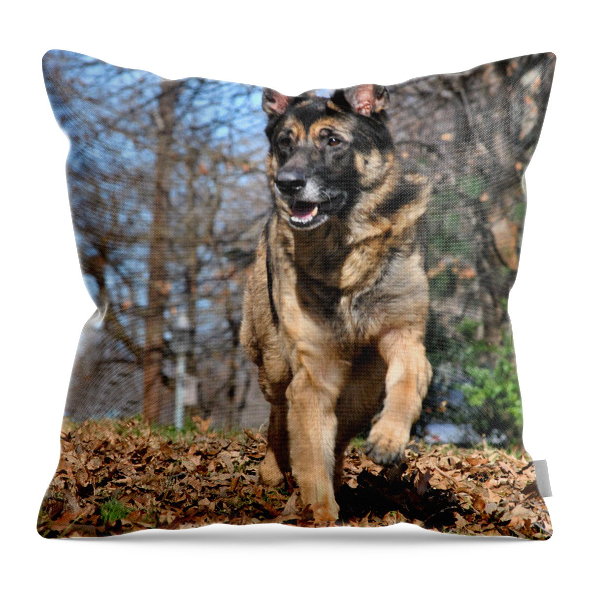 Animal Throw Pillow featuring the photograph German Shepherd by Jai Johnson
