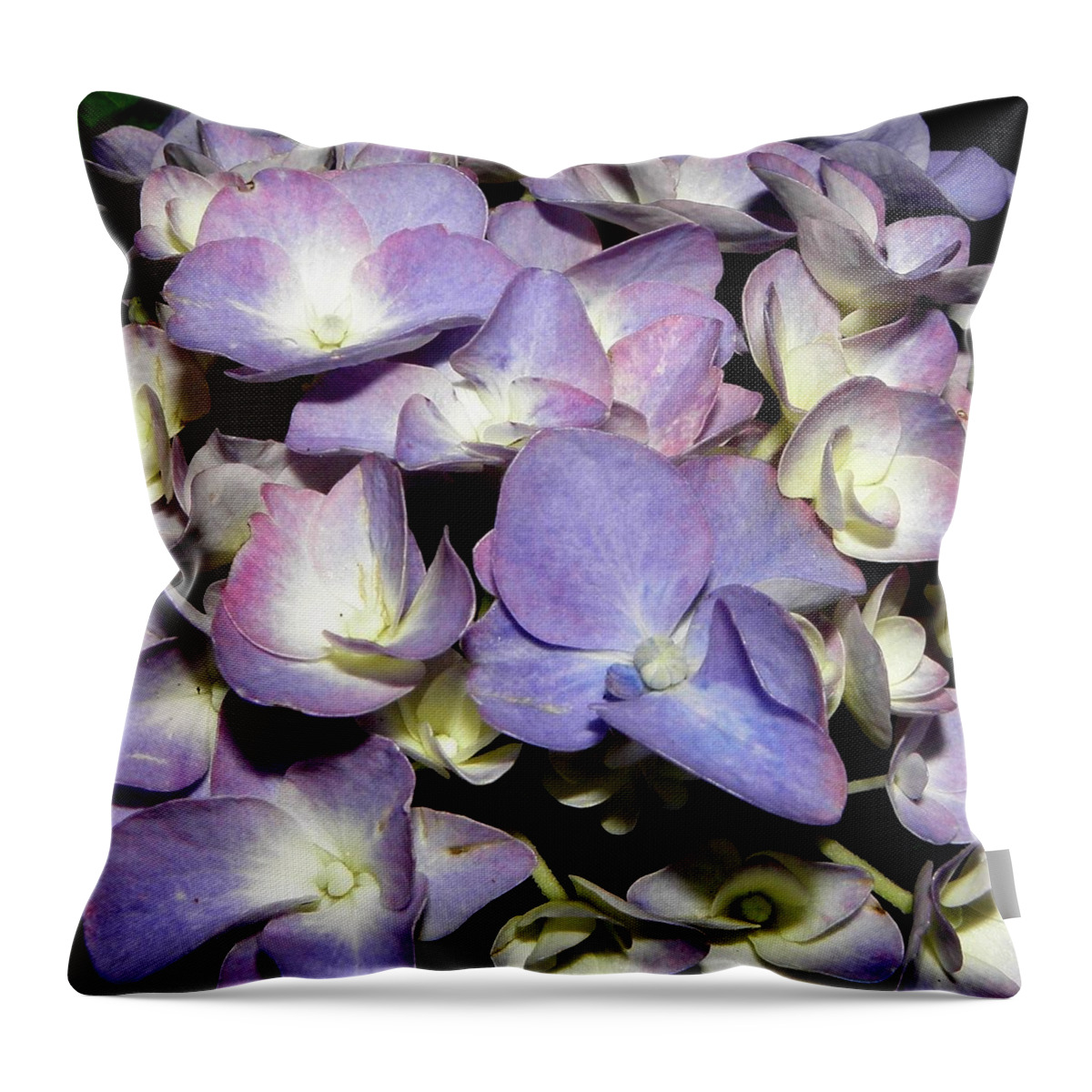 Hydrangea Throw Pillow featuring the photograph A Purple Blue Explosion by Kim Galluzzo Wozniak