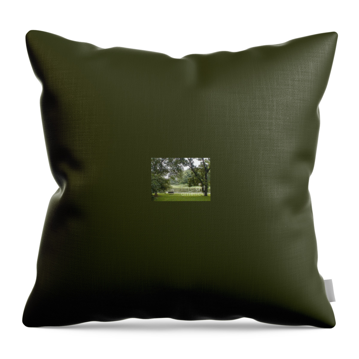 Bench Throw Pillow featuring the photograph A Quiet Place by Vonda Lawson-Rosa