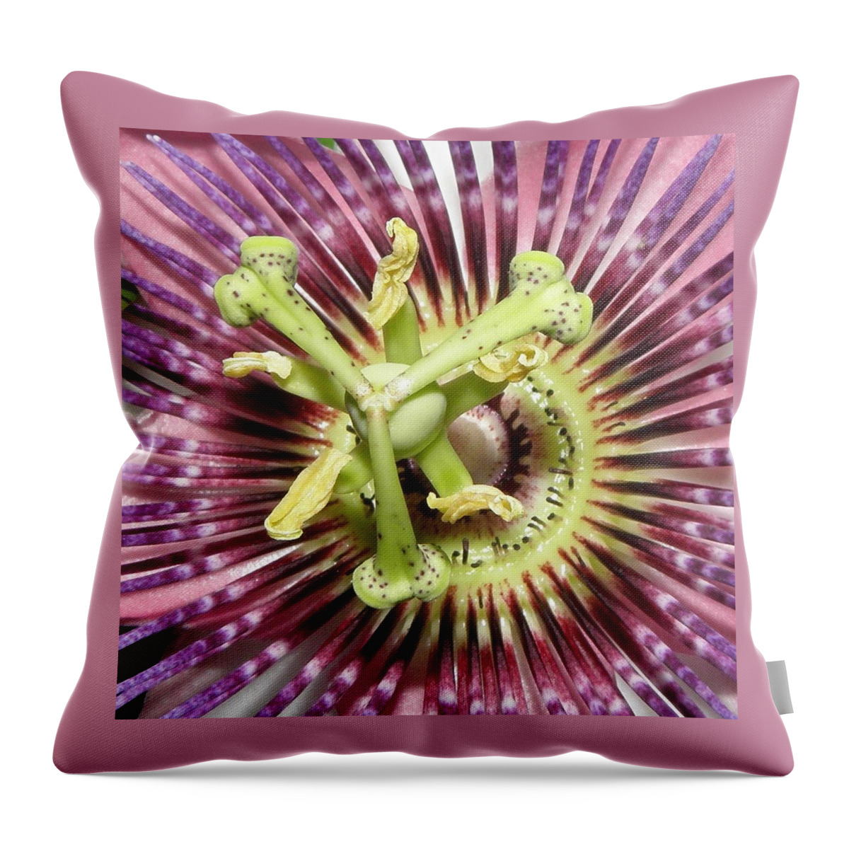 Passion Flower Throw Pillow featuring the photograph Alienated by Kim Galluzzo Wozniak