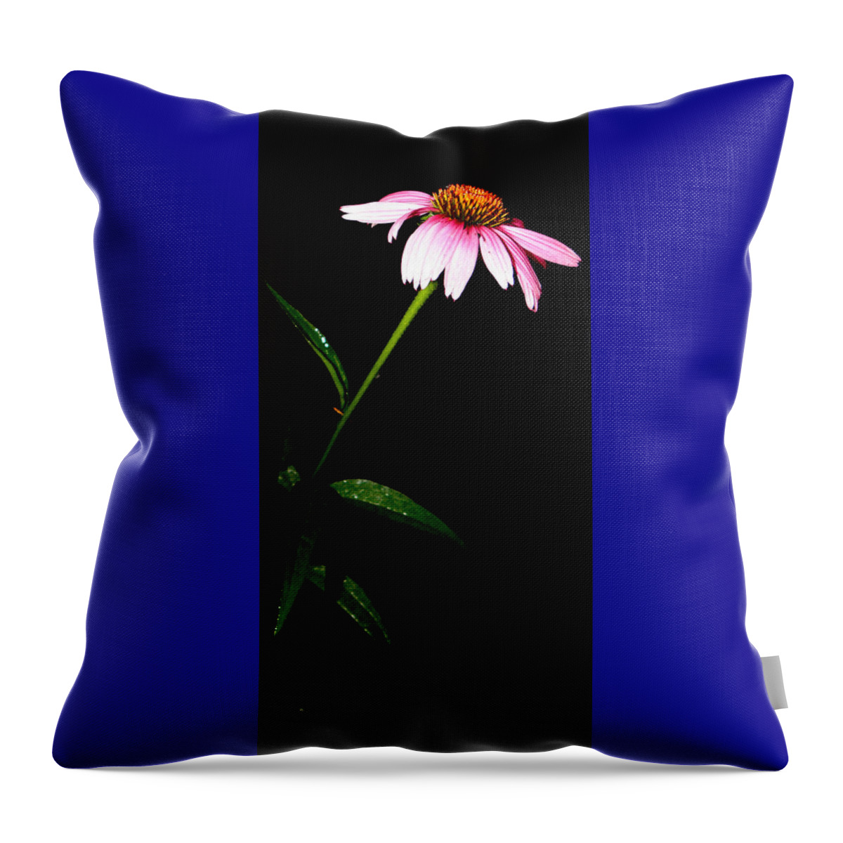 Purple Throw Pillow featuring the photograph Alone At Night by Kim Galluzzo