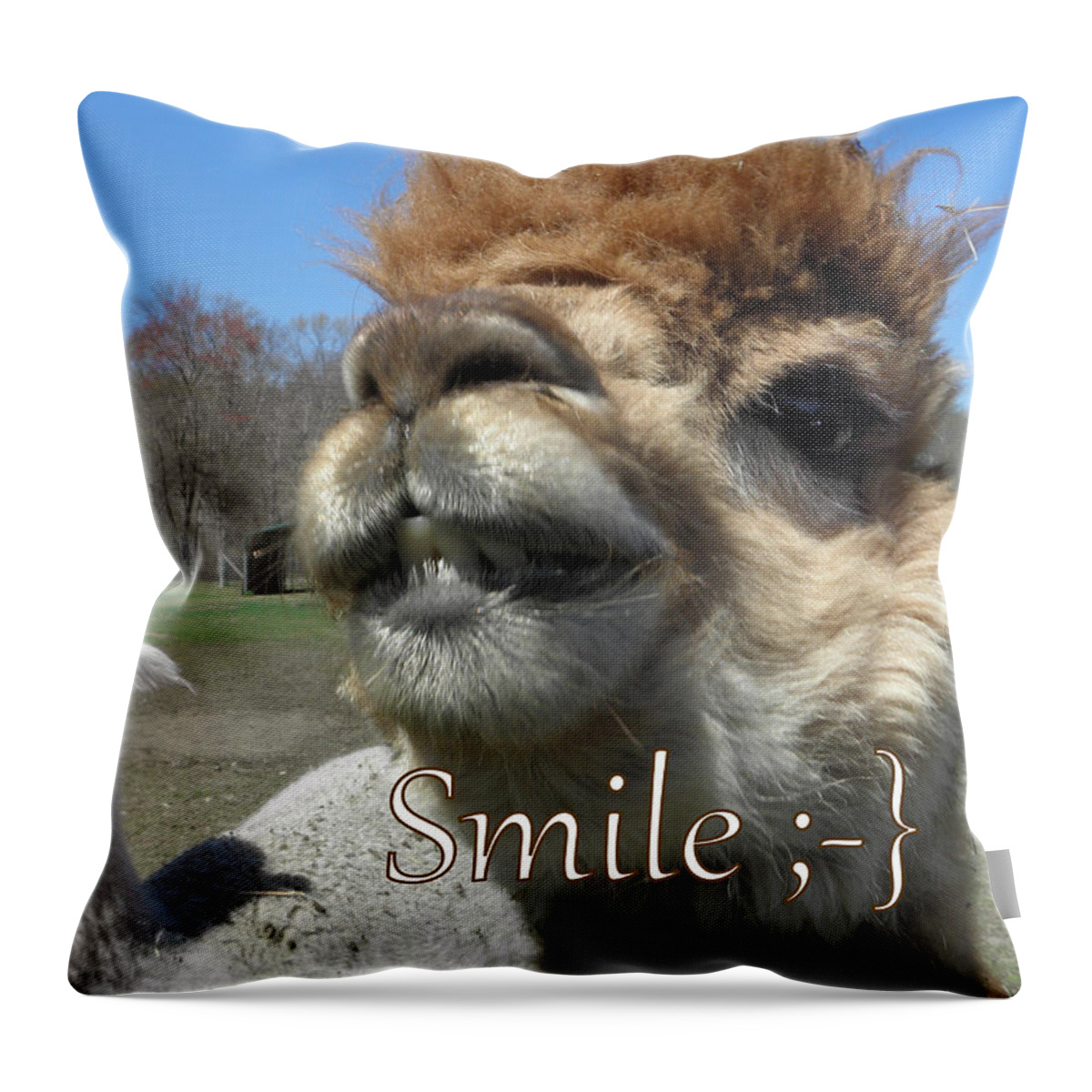 Alpaca Throw Pillow featuring the photograph Alpaca Smile by Kim Galluzzo Wozniak