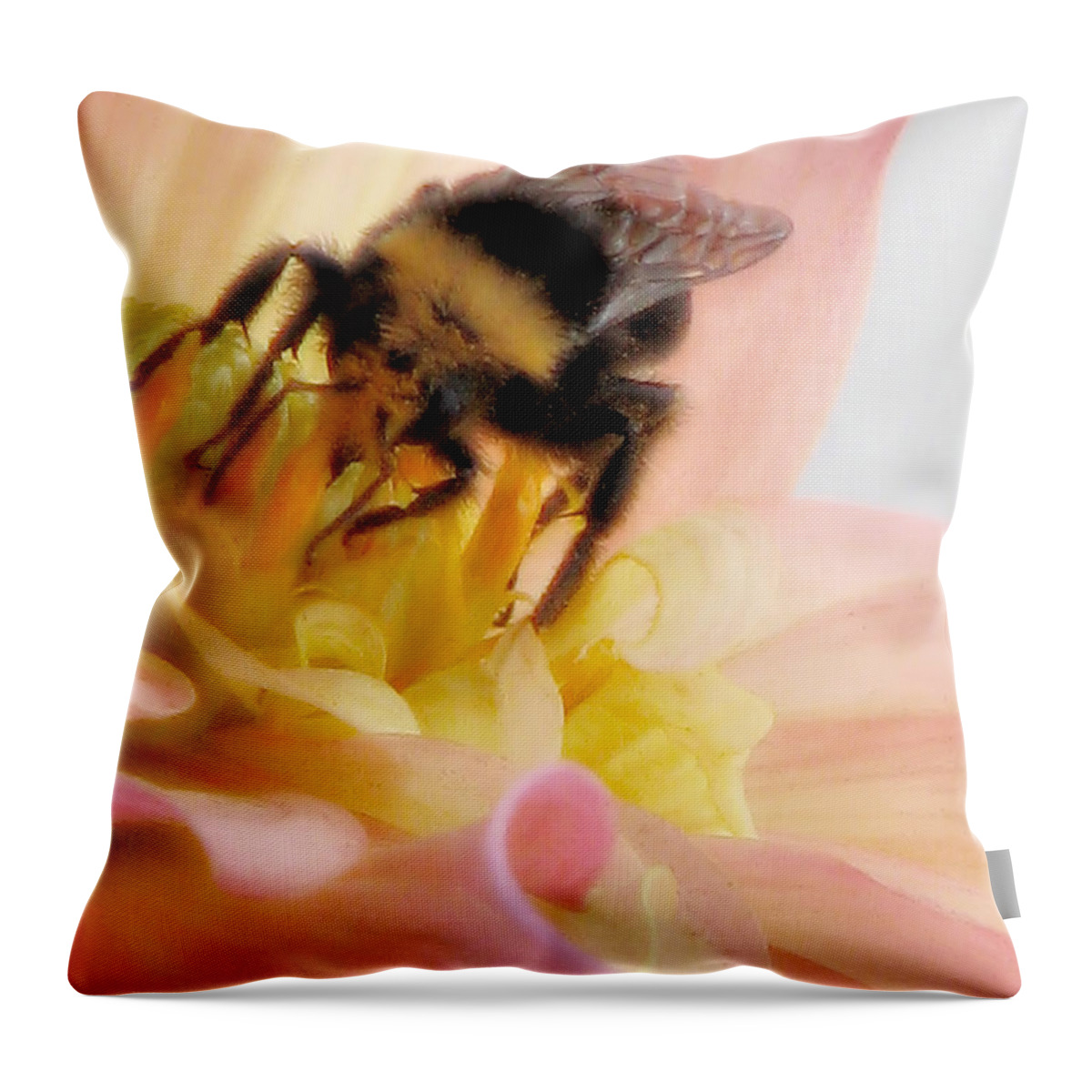 Bee Throw Pillow featuring the photograph Ambrosia by Rory Siegel