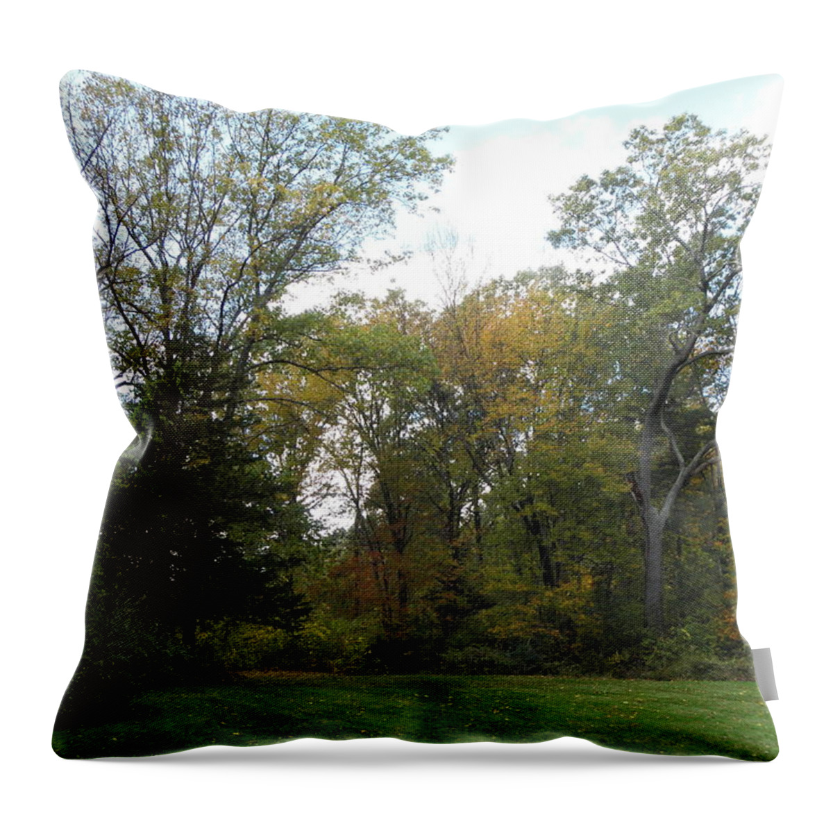 Autumn Throw Pillow featuring the photograph Autumn landscape in Massachusetts by Kim Galluzzo Wozniak