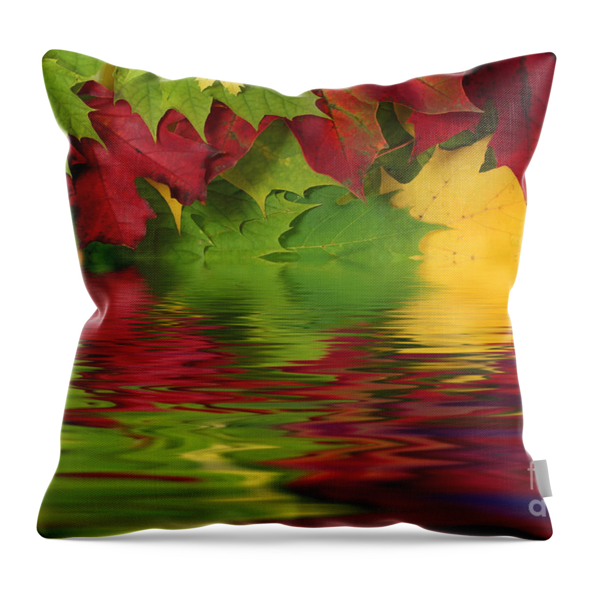 Leaves Throw Pillow featuring the photograph Autumn leaves in water with reflection by Simon Bratt