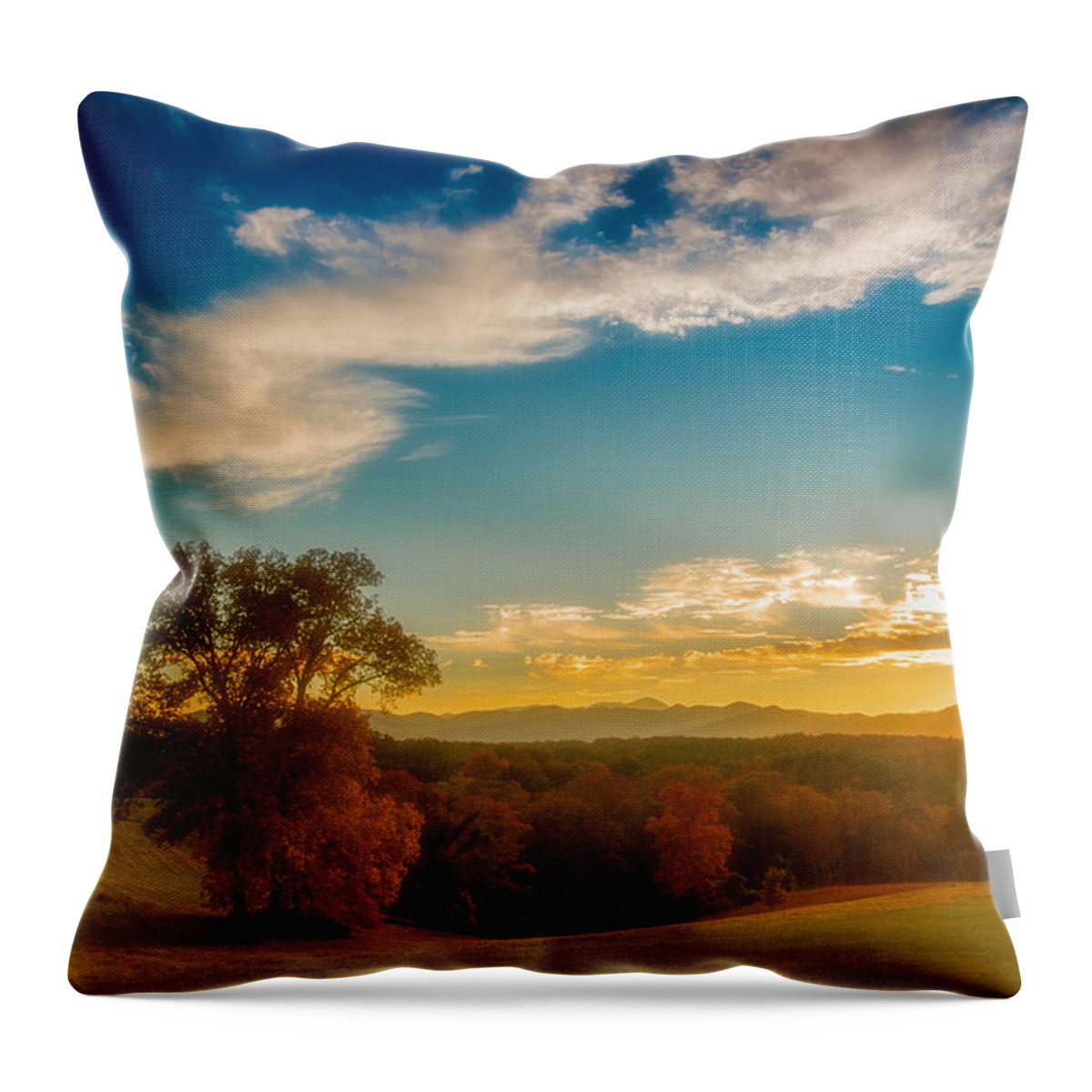 Asheville Throw Pillow featuring the photograph Autumn Trees by Joye Ardyn Durham