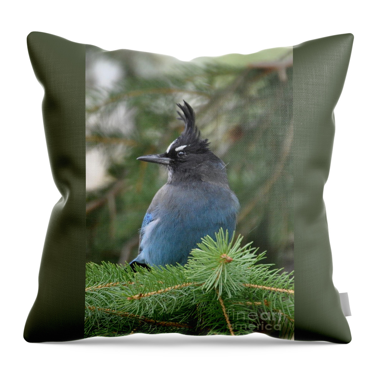 Birds Throw Pillow featuring the photograph Bad Hair Day by Dorrene BrownButterfield