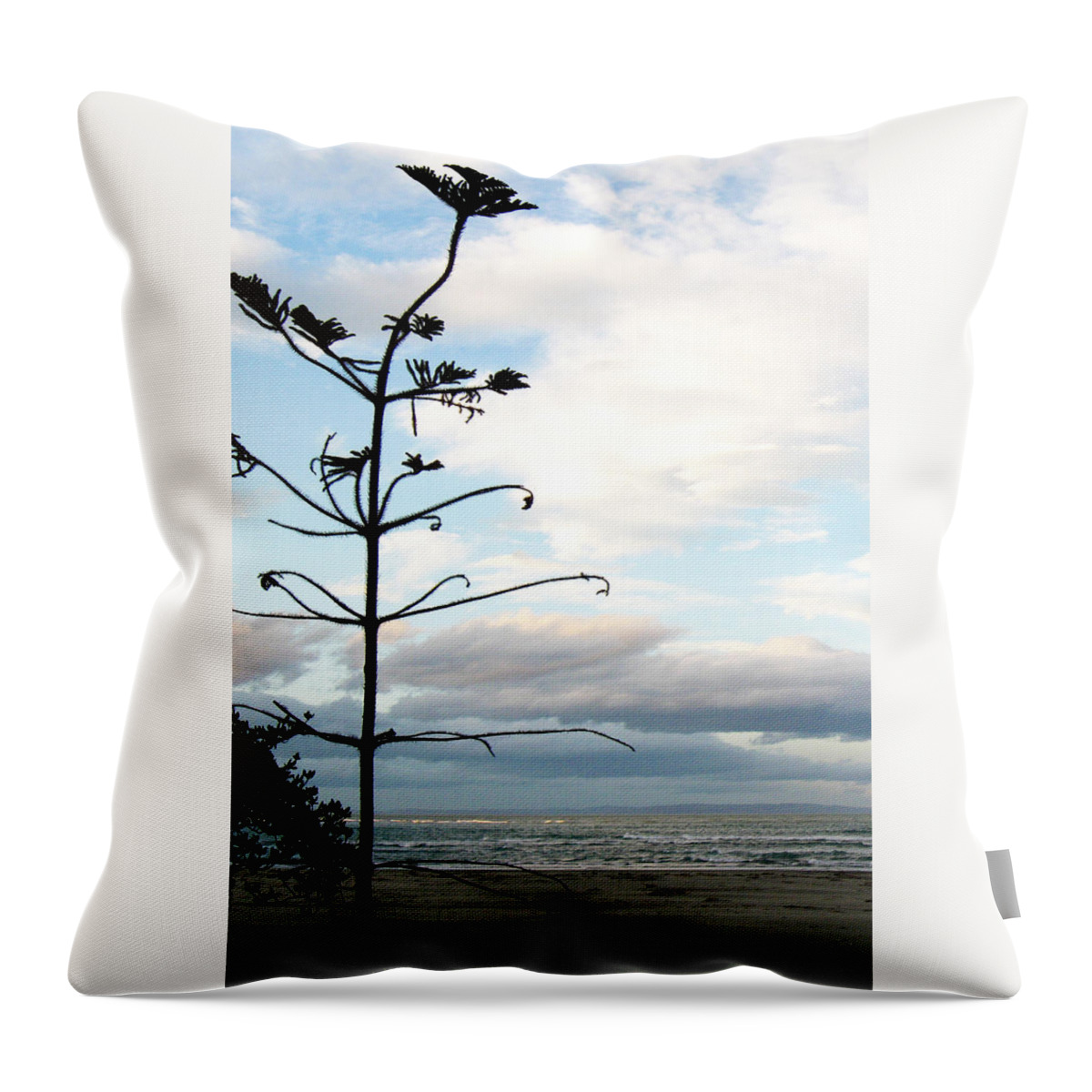 Sumner Beach Throw Pillow featuring the photograph Beach View by Roseanne Jones