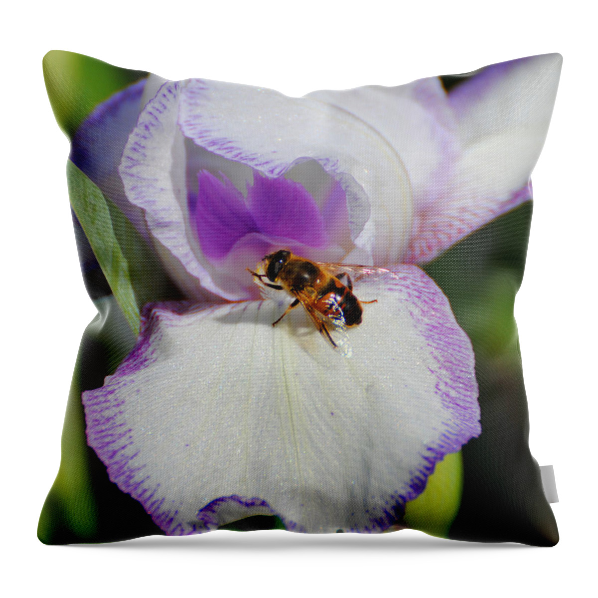 Beautiful Iris Throw Pillow featuring the photograph Bee on the Iris by Jai Johnson