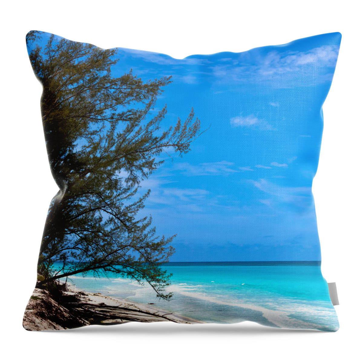 Aquamarine Throw Pillow featuring the photograph Bimini Beach by Ed Gleichman