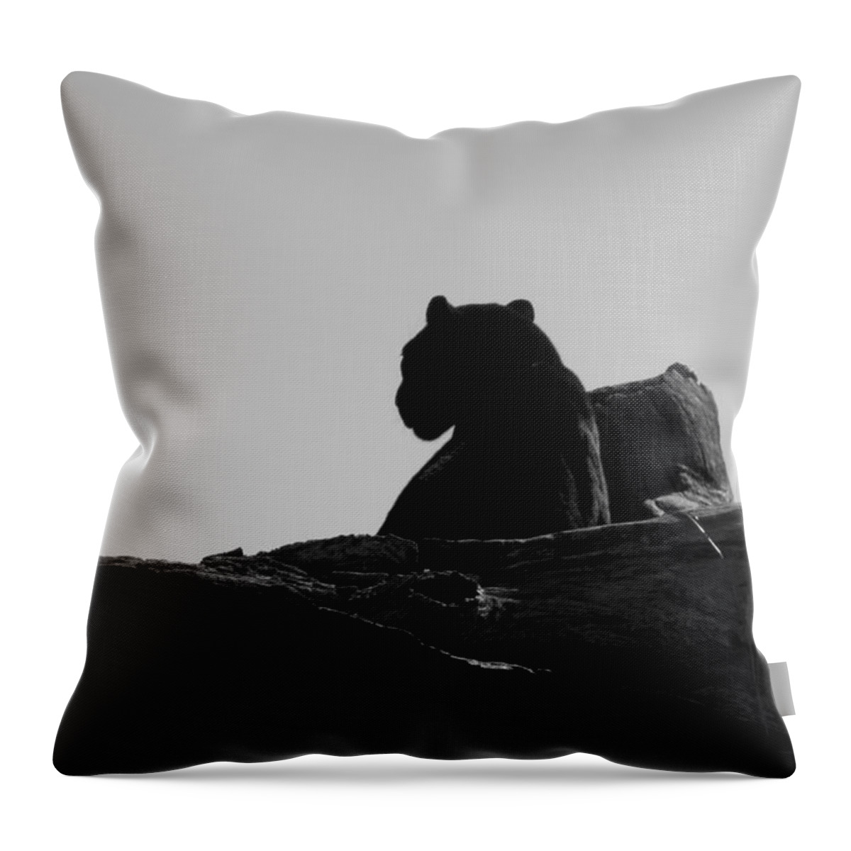 Black Throw Pillow featuring the photograph Black Jaguar by Kim Galluzzo Wozniak