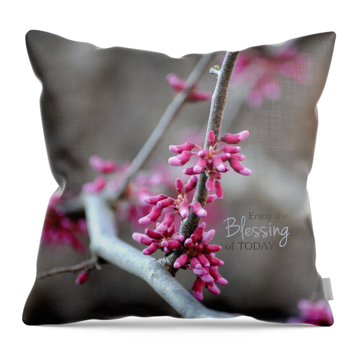 Blessing Throw Pillow featuring the photograph Blessing by Jai Johnson