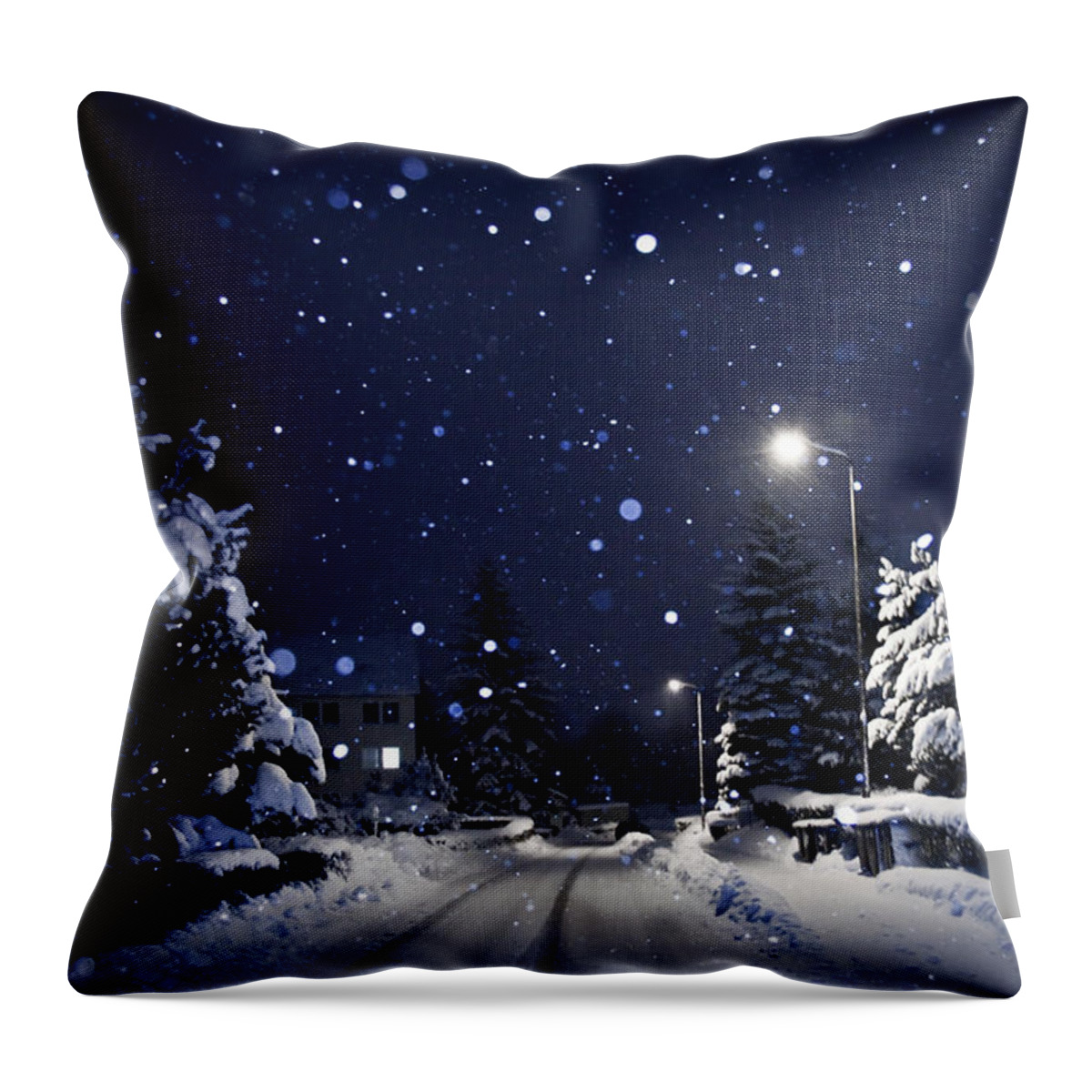 Silent Throw Pillow featuring the photograph Blue Silent Night by Dorit Fuhg