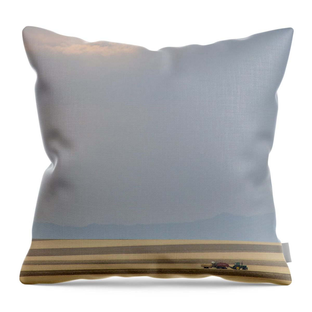 Portrait Throw Pillow featuring the photograph Boulder County Colorado Open Space Portrait View by James BO Insogna