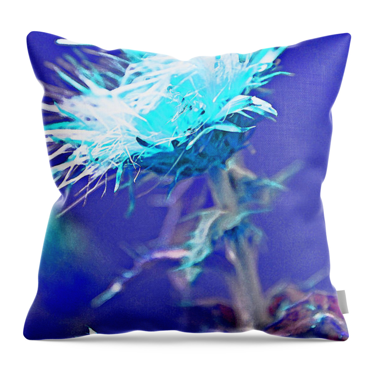 Weeds Throw Pillow featuring the photograph Bright Accident by Julie Lueders 