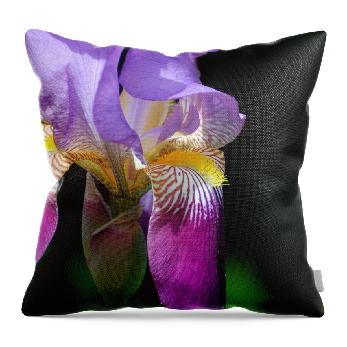 Beautiful Iris Throw Pillow featuring the photograph Brilliant Purple Iris Flower II by Jai Johnson