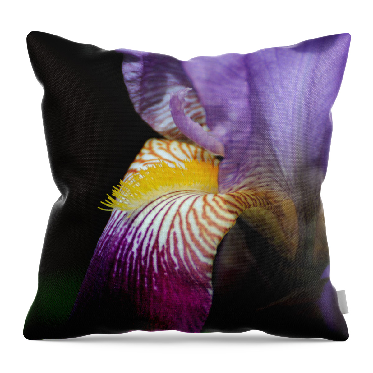 Beautiful Iris Throw Pillow featuring the photograph Brilliant Purple Iris Flower III by Jai Johnson
