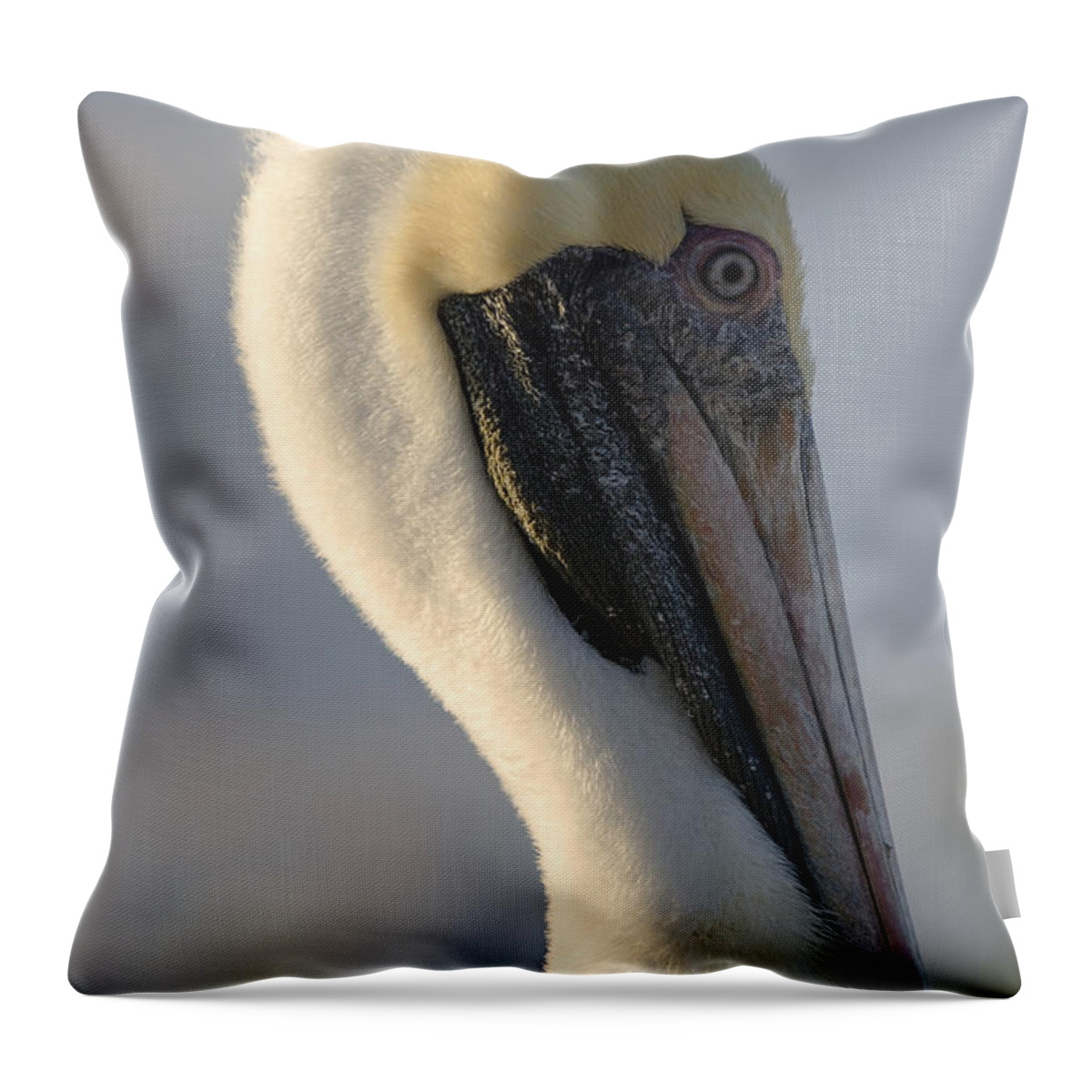 Bird Throw Pillow featuring the photograph Brown Pelican Profile by Ed Gleichman