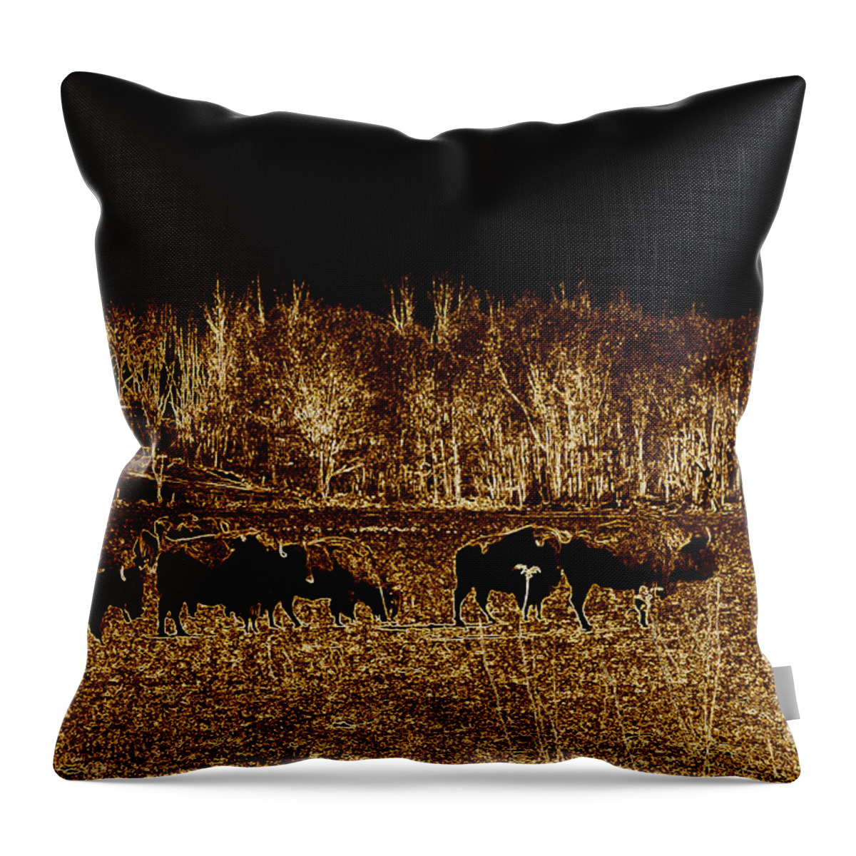 Buffalo Throw Pillow featuring the photograph Buffalos roaming by Kim Galluzzo