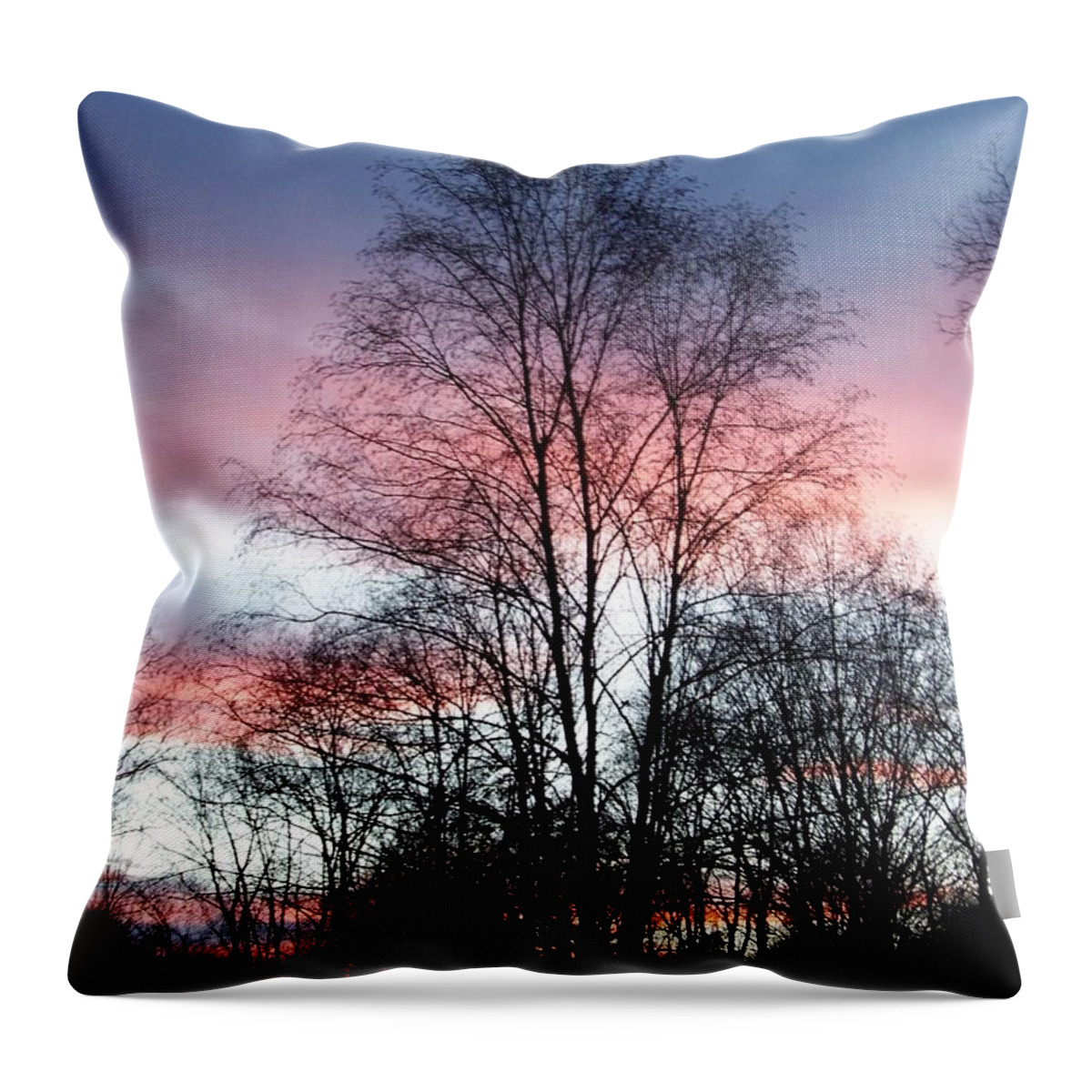 Butterfly Throw Pillow featuring the photograph Butterfly Wings Of Pink In The Sky by Kim Galluzzo Wozniak
