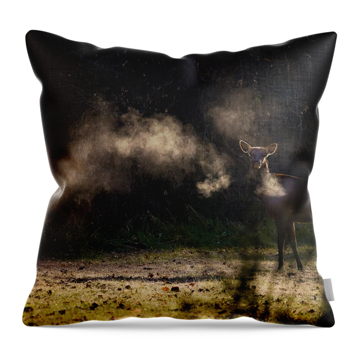 Elk Throw Pillow featuring the photograph Calf Elk with Steaming Breath at Lost Valley by Michael Dougherty