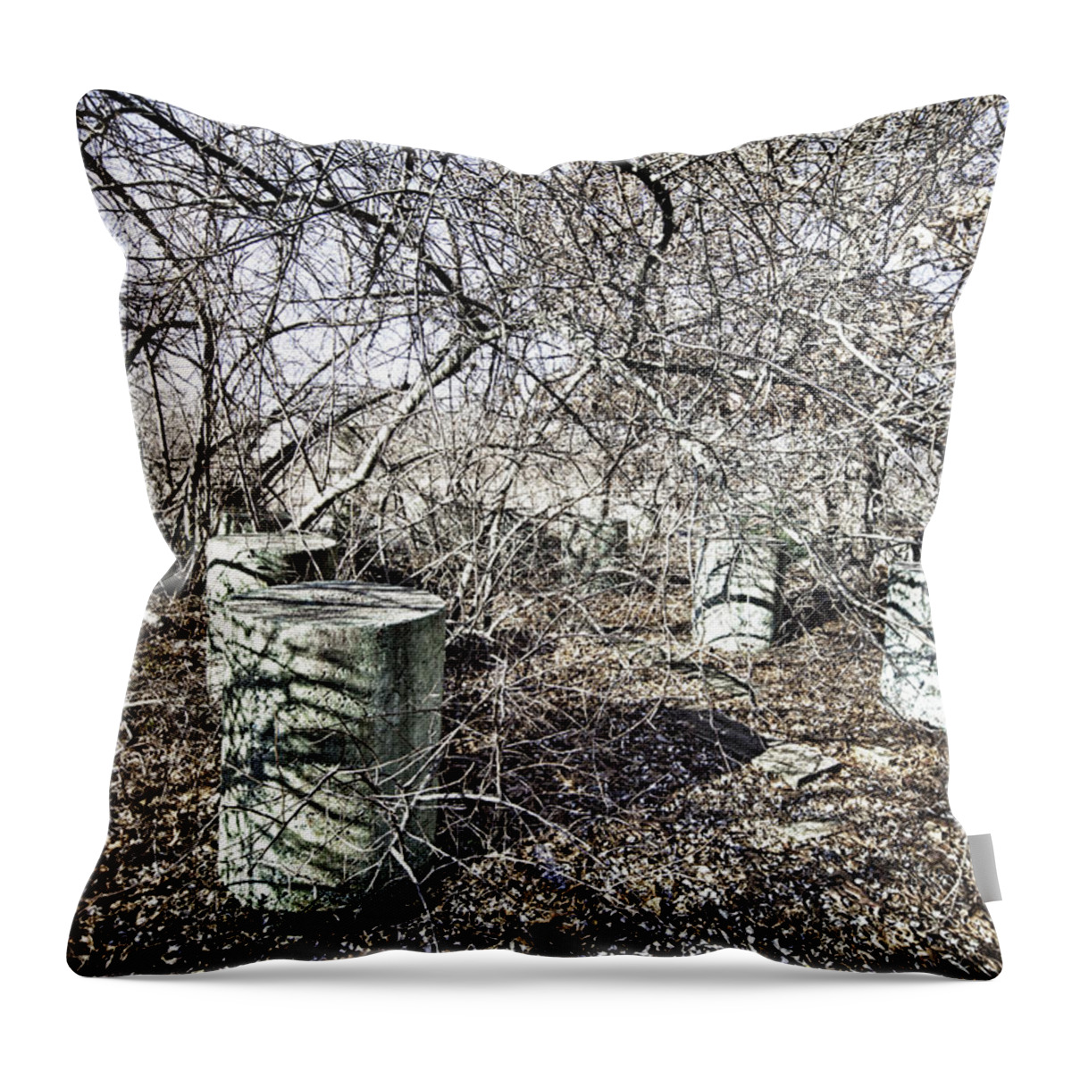 Lincoln Park Throw Pillow featuring the photograph Cementhenge by Kate Hannon