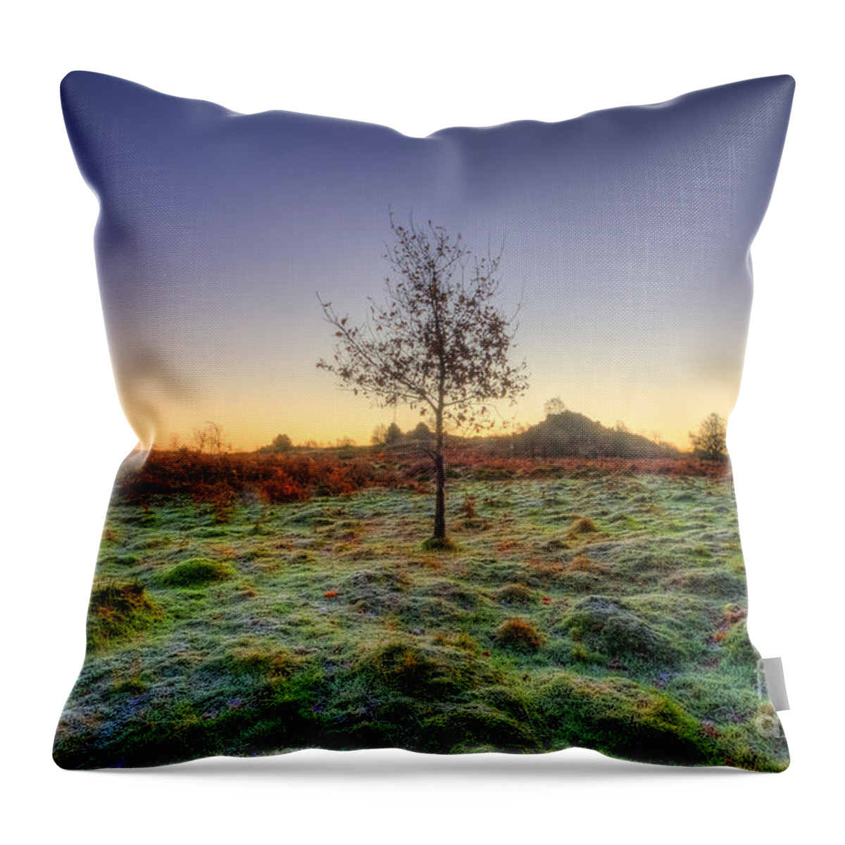 Hdr Throw Pillow featuring the photograph Colours Of Dawn by Yhun Suarez