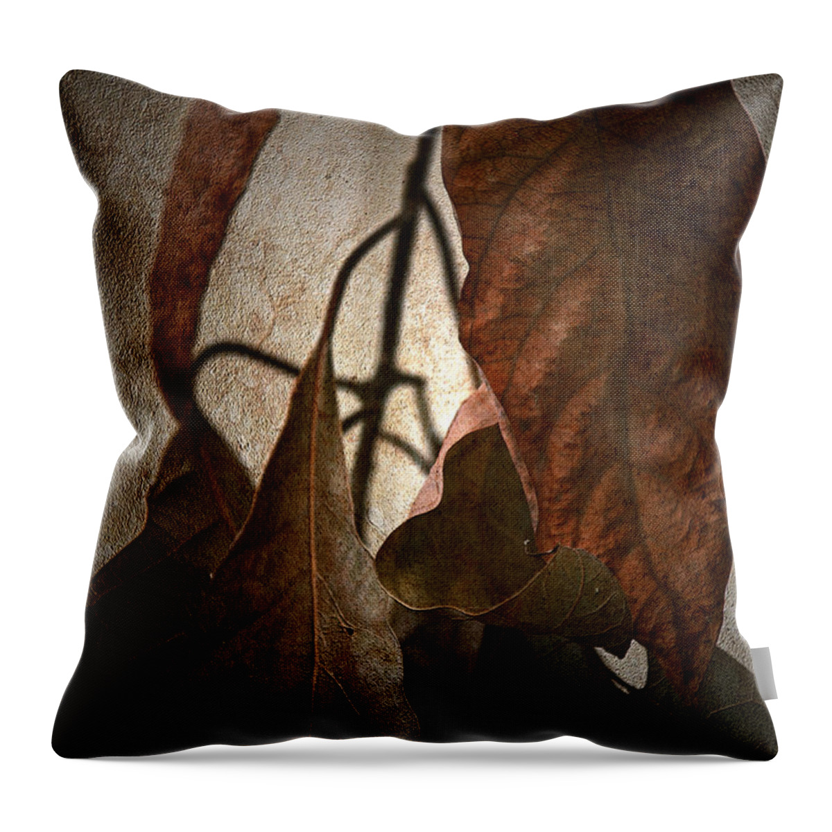 Autumn Throw Pillow featuring the photograph Comfort by Bonnie Bruno