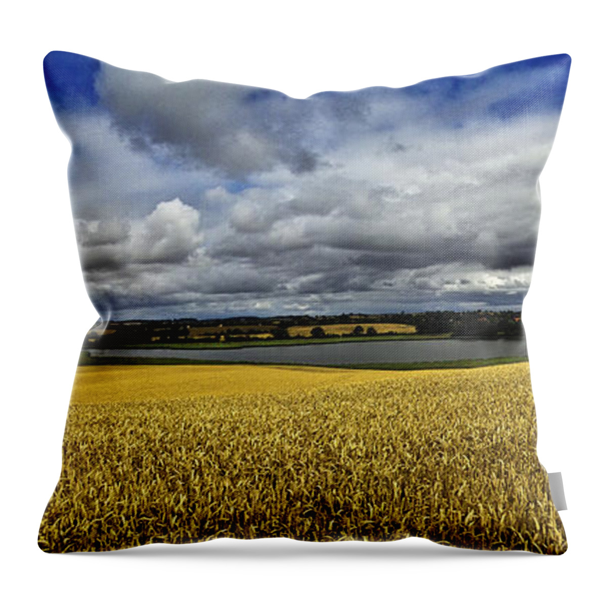 Heiko Throw Pillow featuring the photograph Corn Field Panorama by Heiko Koehrer-Wagner