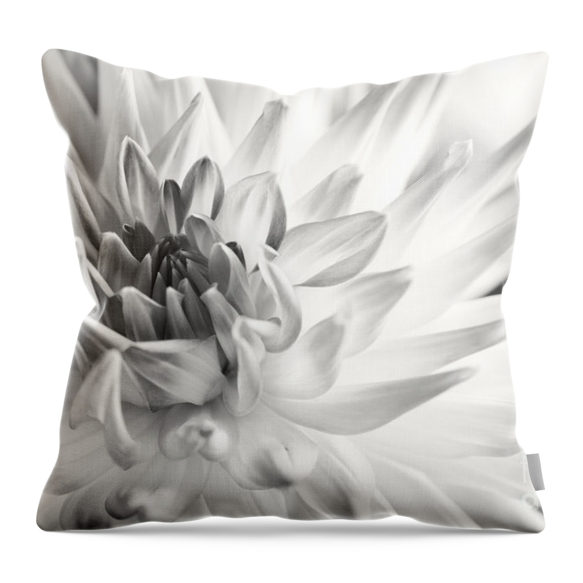 Dahlia Throw Pillow featuring the photograph Dahlia Flower 02 by Nailia Schwarz