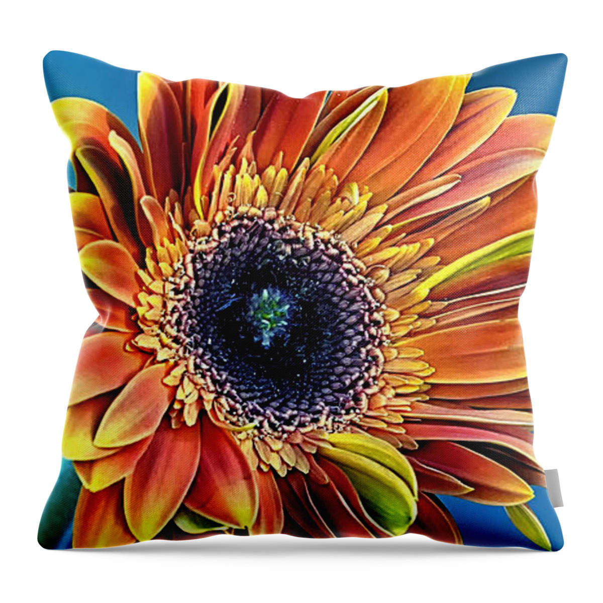 Gerber Daisy Throw Pillow featuring the photograph Daisy Dialation by Bill and Linda Tiepelman